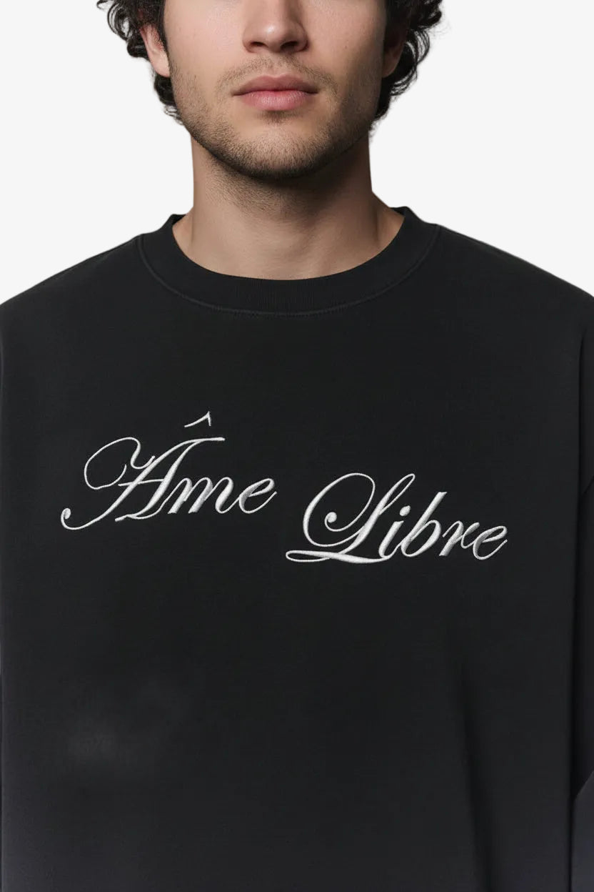 Observer Longsleeve Washed Grey - Âme Libre | LAB10STREETWEAR