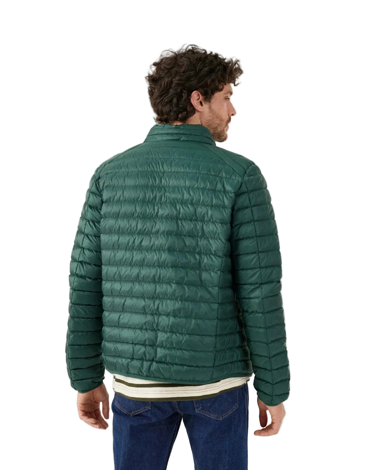 Donkergroene donsjas met opstaande kraag en horizontale stiksels, achteraanzicht op model.