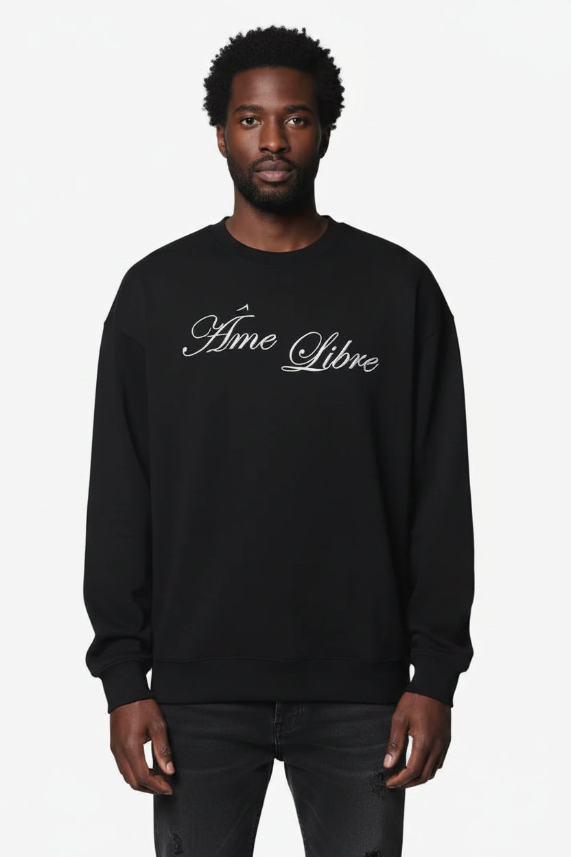 Observer Longsleeve Washed Grey - Âme Libre | LAB10STREETWEAR