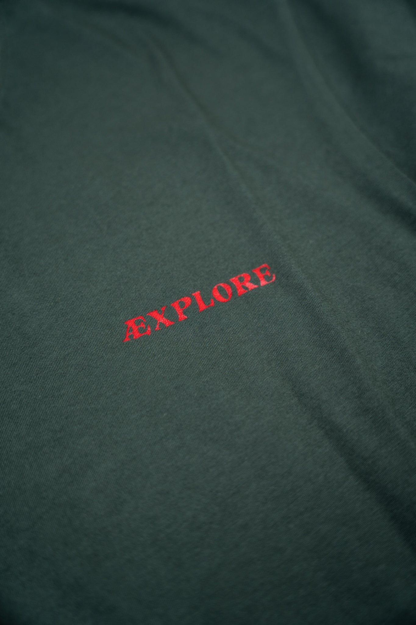 Bear Burrito T-Shirt - Green Gables - Lakor | LAB10STREETWEAR